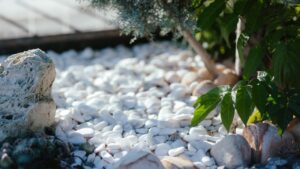 Cailloux blancs dans le jardin