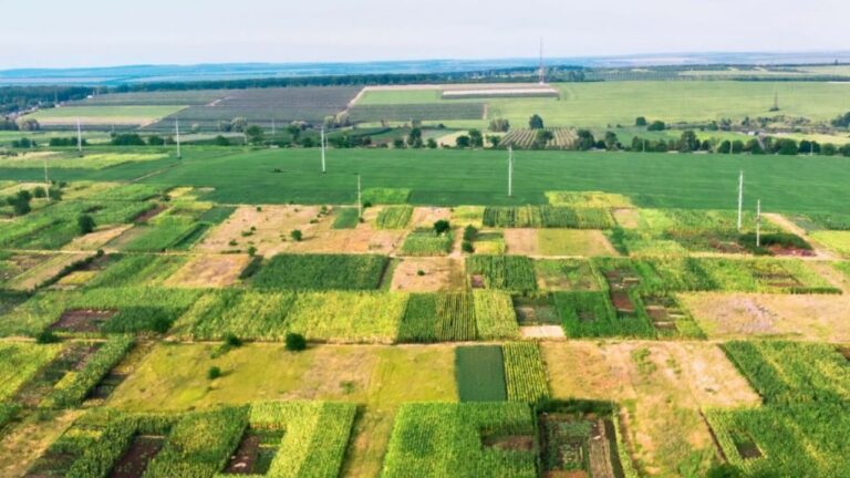 Terrain non constructible