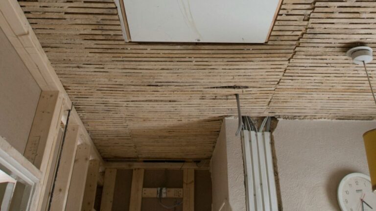 Plafond en lattis et plâtre