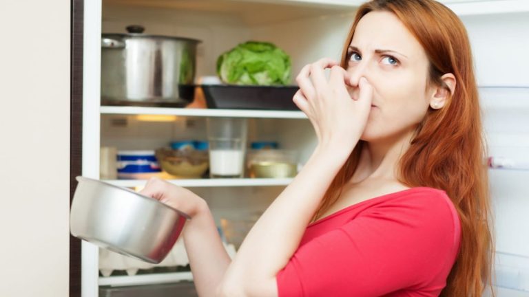 Frigo qui sent mauvais à l’extérieur